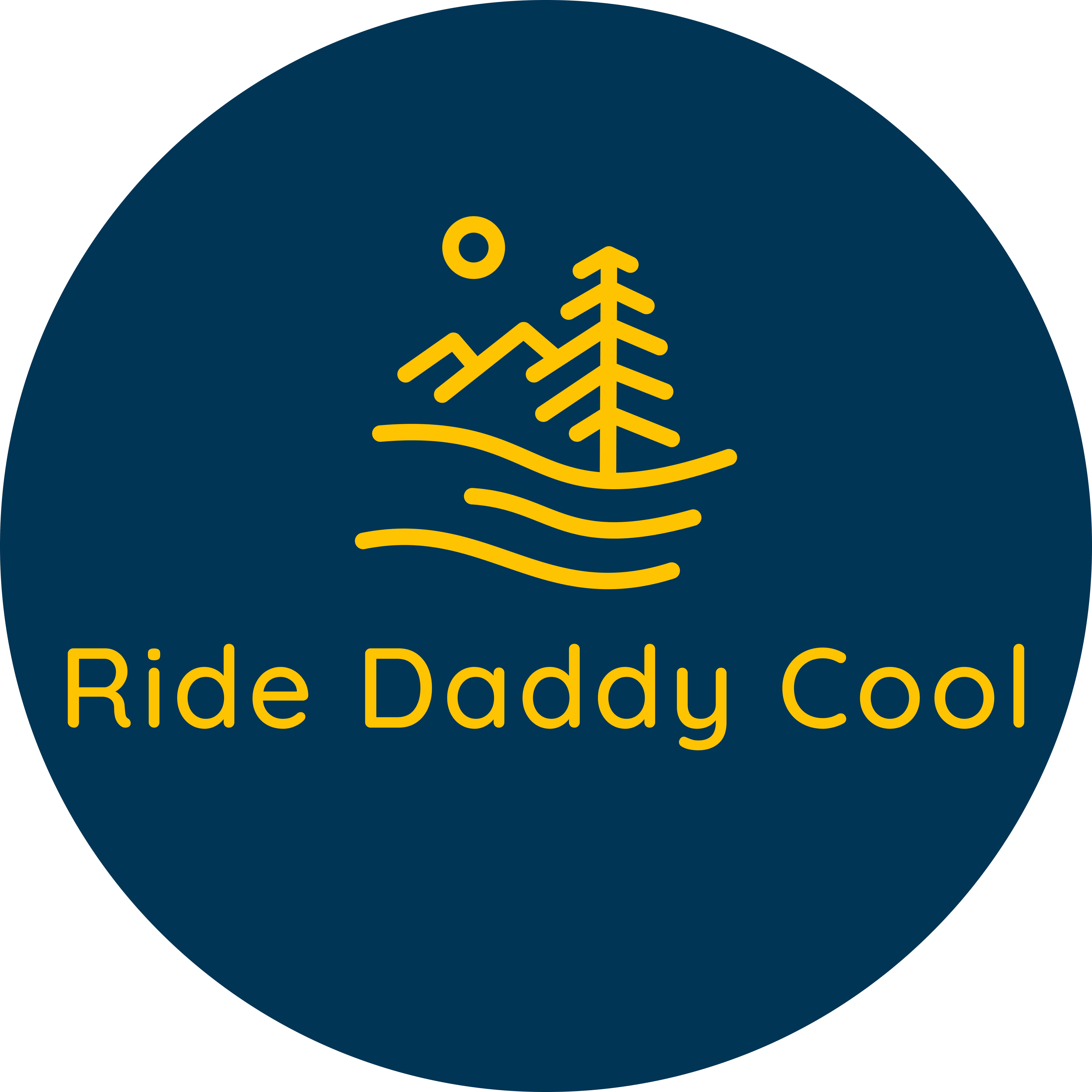 ridedaddycool.com